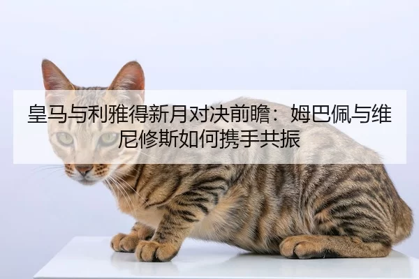 huang-ma-yu-li-ya-de-xin-yue-dui-jue-qian-zhan-mu-ba-pei-yu-wei-ni-xiu-si-ru-he-xie-shou-gong-zhen-2-825.jpg